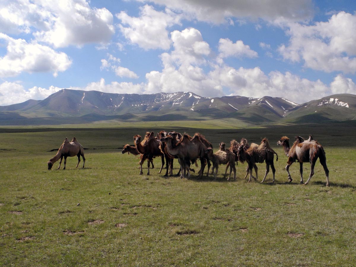 AsiaBikeTours_Kyrgyzstan_Paradise_18.jpg