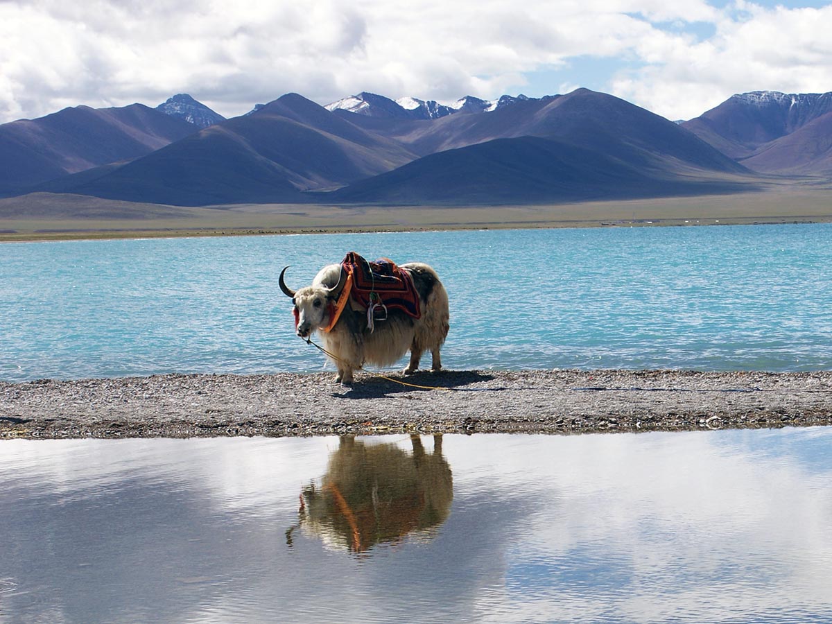 AsiaBikeTours_Tibet_Lhasa_Everest_25.jpg